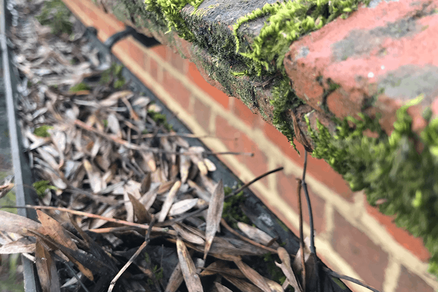 Gutter-Cleaning-Surrey